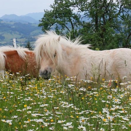 Miniponyhof Biohof Almbauer Daire Waidhofen-Ybbs Dış mekan fotoğraf