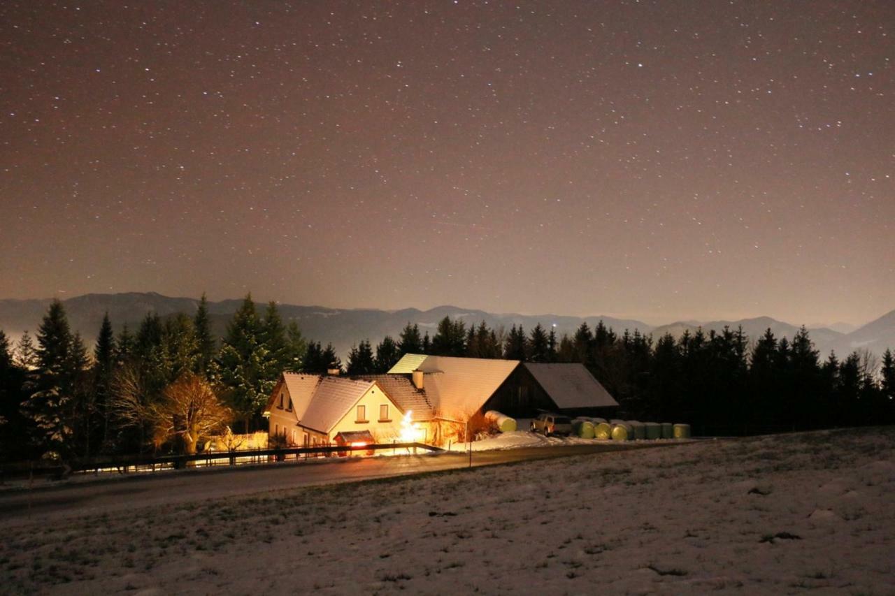 Miniponyhof Biohof Almbauer Daire Waidhofen-Ybbs Dış mekan fotoğraf